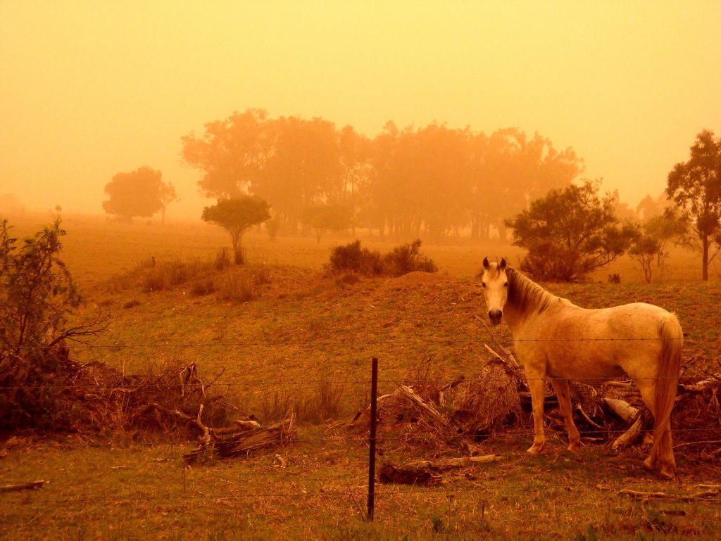 A red haze over the Southern Downs in September 2009.